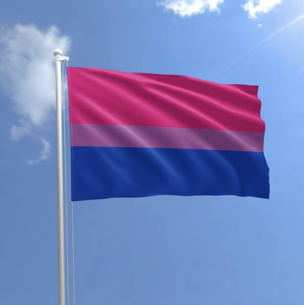 Bisexuality Flag